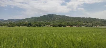 paysage montagne vue herbe rochers et autres photo