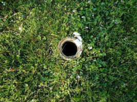 trou dans un tuyau métallique dans l'herbe verte ou la pelouse photo