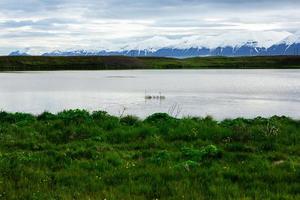 paysage pittoresque avec une nature verdoyante en islande pendant l'été. image avec une nature très calme et innocente. photo