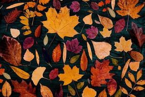 compositions de feuilles d'érable d'automne jaune. concept d'automne avec fond de feuilles rouge-jaune. feuilles aux couleurs vives