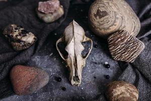 vieux crâne de chien et pierres sur la table de sorcière. atmosphère sombre et mystérieuse. photo