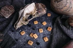 vieux crâne de chien, runes en bois et pierres sur la table de sorcière. photo