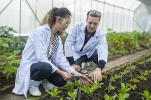 scientis analyse des plantes de légumes biologiques en serre, concept de technologie agricole photo