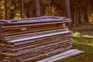 bois transformé sur le fond du paysage d'automne. photo