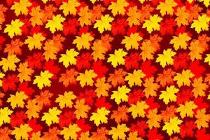 feuilles d'automne aux couleurs vives photo