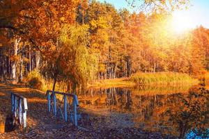 paysage d'automne avec un feuillage coloré et lumineux. été indien. photo