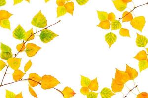 feuilles d'automne aux couleurs vives photo