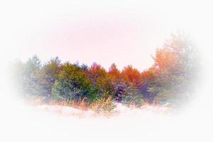 forêt d'hiver gelée avec des arbres couverts de neige. photo