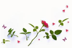 fleur rose aux couleurs vives. fond floral photo