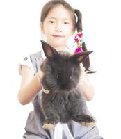 Enfant asiatique jouant avec un joli bébé lapin isolé sur blanc photo