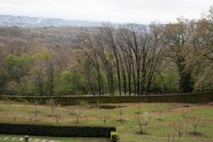 vue aérienne d'une zone arborée photo