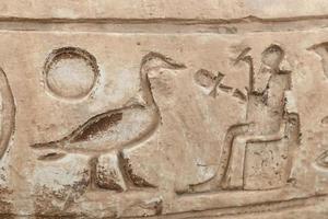 hiéroglyphes à memphis, le caire, egypte photo