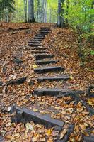 Chemin dans le parc national de Yedigoller, Bolu, Turquie photo