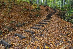 Chemin dans le parc national de Yedigoller, Bolu, Turquie photo