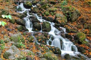 Cascade dans le parc national de Yedigoller, Bolu, Turquie photo