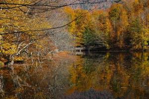 Lac Buyuk dans le parc national de Yedigoller, Bolu, Turquie photo