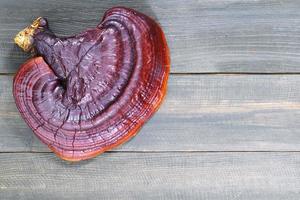 champignon ganoderma lucidum sur plancher en bois photo