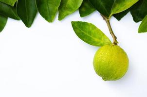 vert gros citron vert organique avec des feuilles posées sur fond de papier blanc avec un espace pour le texte. photo