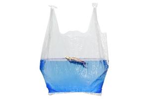 sac en plastique contenant un modèle de jouet de tortue floue dans la surface de l'eau isolé sur fond blanc. concept minimal de la journée mondiale de l'océan. photo