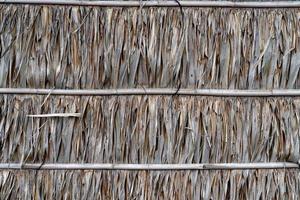 toit ou mur en feuilles de palmier nypa sèches photo