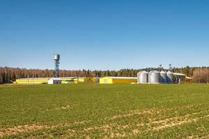 usine agro-alimentaire pour la transformation et les silos pour le nettoyage à sec et le stockage des produits agricoles, de la farine, des céréales et du grain. élevage de volailles photo