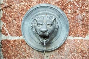 fontaine, lion