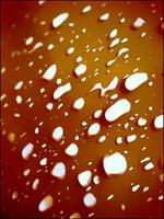 résumés d'eau bulles gouttelettes de saison liquide gros plan photo