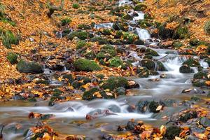 Cascade dans le parc national de Yedigoller, Bolu, Turquie photo