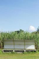 entraîneur et bancs de réserve sous un beau ciel bleu dans l'ancien terrain en herbe. photo