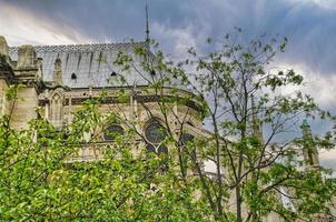 cathédrale notre dame à paris photo