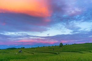 arrière-plan panoramique du magnifique paysage naturel indonésien. lever de soleil sur les rizières vertes photo