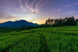 panorama de la beauté naturelle de l'asie. vue sur les rizières avec un beau lever de soleil et des agriculteurs pulvérisant