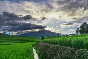 vue panoramique indonésienne sur les rizières en terrasses vertes et les montagnes quand le matin brille photo
