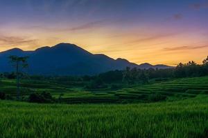 panorama de la beauté naturelle de l'asie. vue sur les rizières en terrasses de la chaîne de montagnes