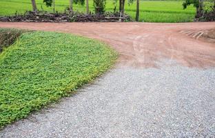 chemin de terre avec le sol en gravier. photo