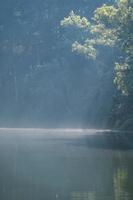 le faisceau lumineux s'allume à la surface de l'eau avec le brouillard. photo