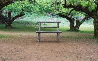 le banc de bois solitaire photo