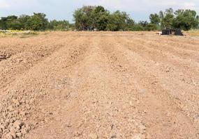 grandes rainures de plantation. photo