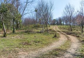 chemin de terre escarpé. photo