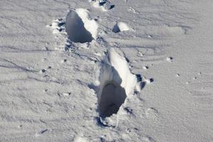 heure d'hiver de l'année, gros plan photo