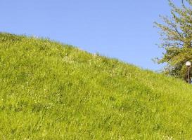 veilleuse, colline photo