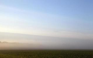 champ agricole, brouillard photo