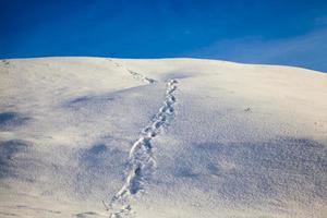 chemin de randonnée d'hiver photo