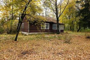 maison en bois, feuilles mortes photo