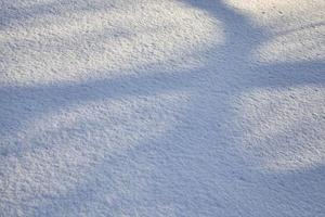 ombres sur la neige photo