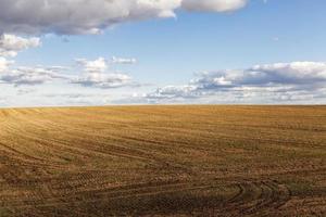 un champ agricole photo