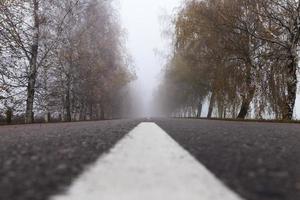 route asphaltée, automne photo