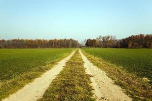 route de terre rurale. photo