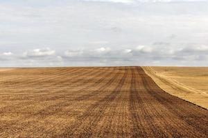un champ agricole photo