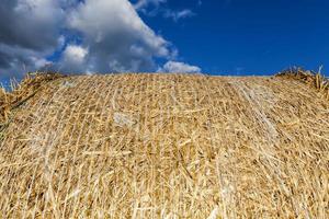 un champ agricole photo